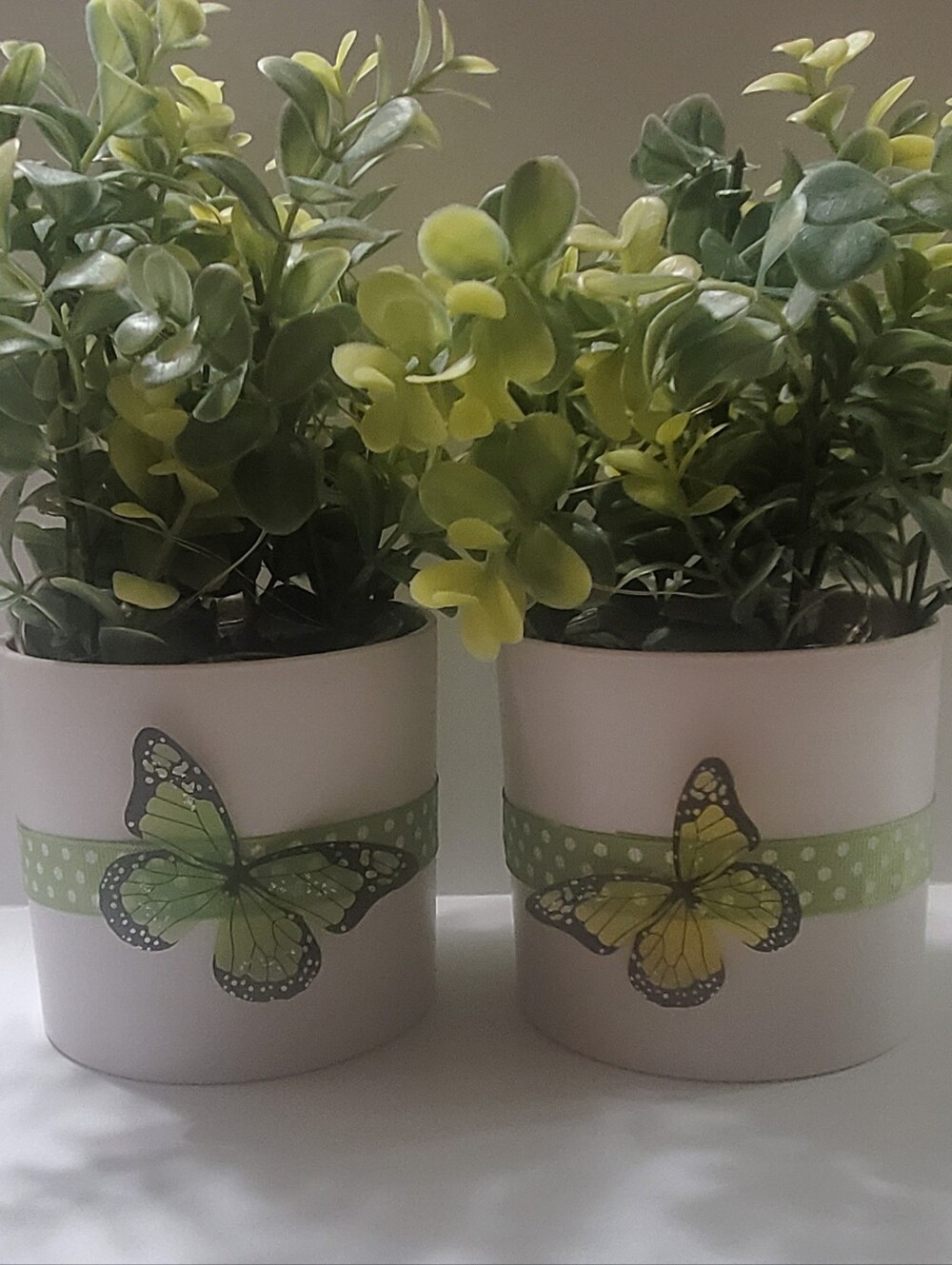 Light Up Plant - Picture 7 of 8